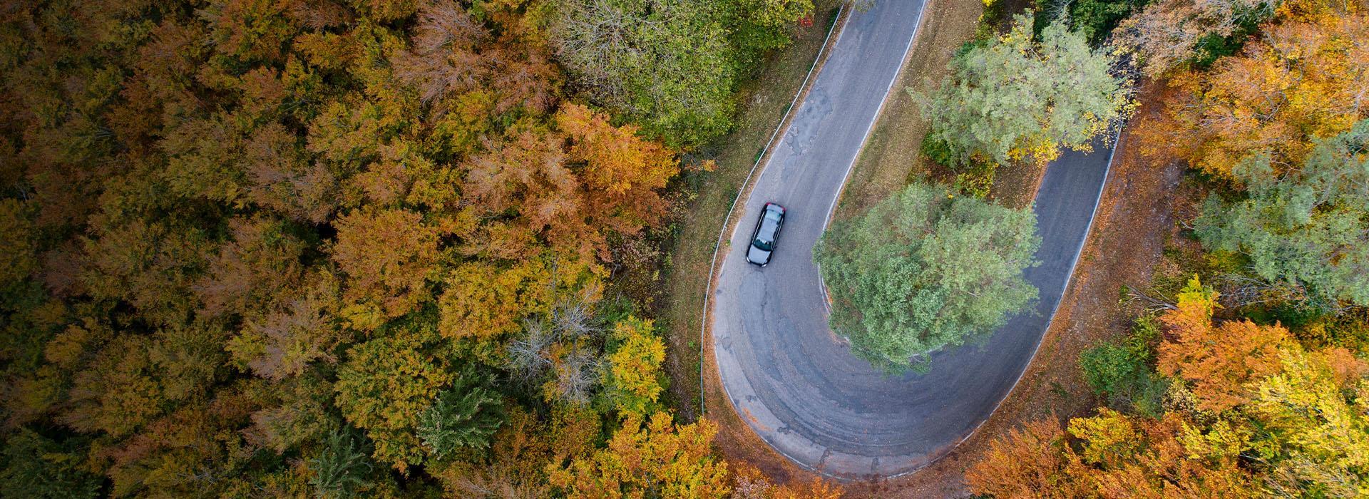 Samochód pokonujący leśny zakręt 180 stopni pod górkę Slajd 2